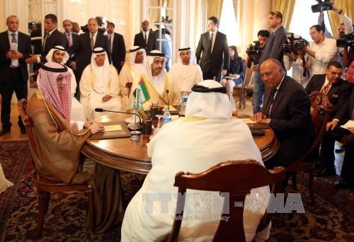 Comunidad internacional se esfuerza por conseguir la paz en el Golfo Pérsico - ảnh 2
