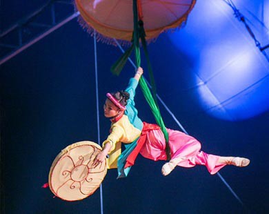 Circo vietnamita abre puerta hacia el mundo  - ảnh 1