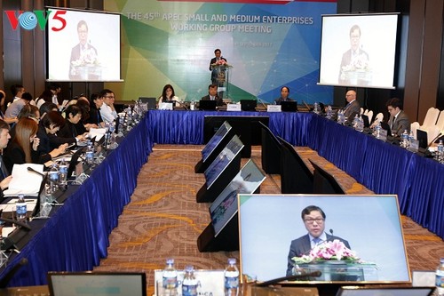 APEC prioriza el desarrollo de las pequeñas y medianas empresas - ảnh 1