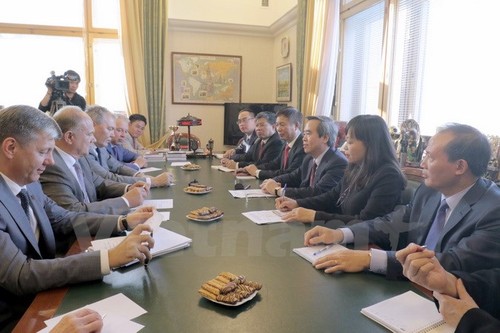 Vietnam y Rusia interesados en incentivar su cooperación económica - ảnh 1