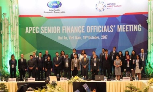 Altos funcionarios de Finanzas del APEC debaten la Declaración Conjunta del sector - ảnh 1