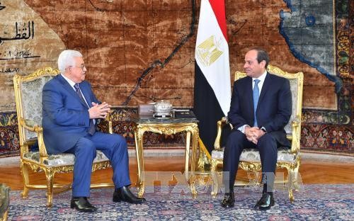 Egipto y Palestina buscan recuperar el itinerario de paz en Medio Oriente - ảnh 1