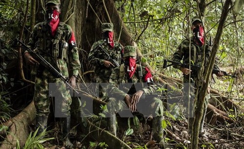Colombia dispuesto a un nuevo alto el fuego  - ảnh 1
