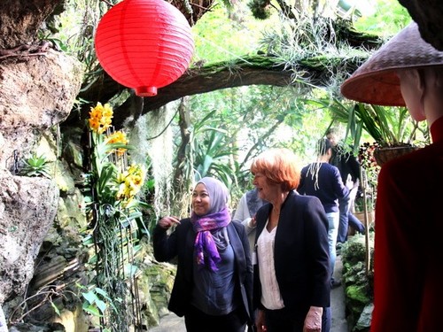 Exhiben orquídeas asiáticas en República Checa - ảnh 1
