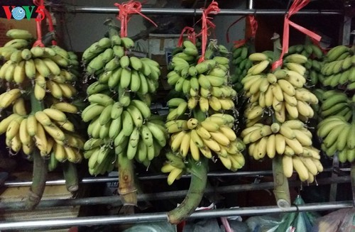 Plátanos “Ngu”, otra especialidad de Vu Dai - ảnh 1