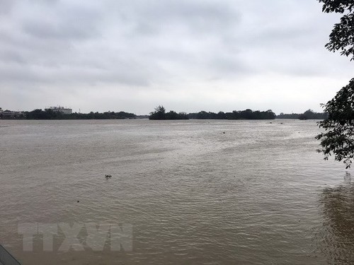 Vietnam prueba gestionar cuencas fluviales con otros países de Asean - ảnh 1