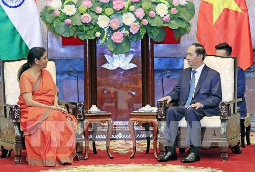 Presidente vietnamita insiste en fortalecer cooperación con la India en defensa - ảnh 1