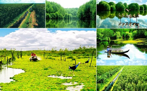Zonas de preservación ecológica servirán para enfrentar al cambio climático en Vietnam - ảnh 1