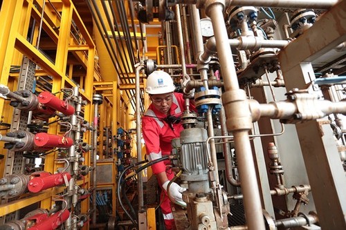 Grupo de petróleo de Vietnam sobrecumple metas en primer semestre - ảnh 1