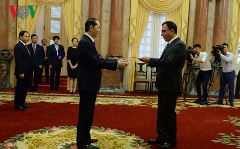 Presidente vietnamita recibe a diplomáticos extranjeros - ảnh 1