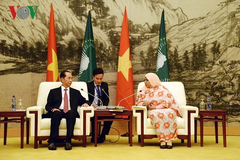 Vietnam concede importancia al fomento de nexos con África, afirma el presidente de Vietnam - ảnh 1