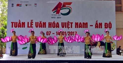 Papel de comunicación en la diplomacia cultural entre Vietnam y la India - ảnh 1