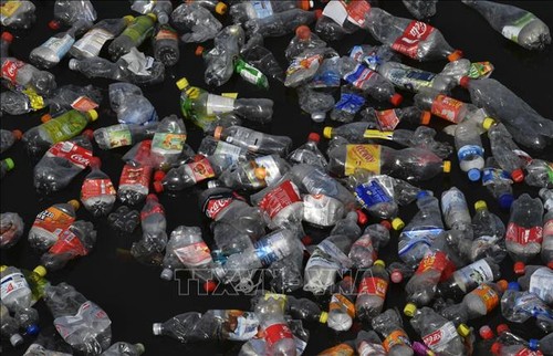 UE aprueba decir adiós a plásticos de un solo uso a partir de 2021 - ảnh 1