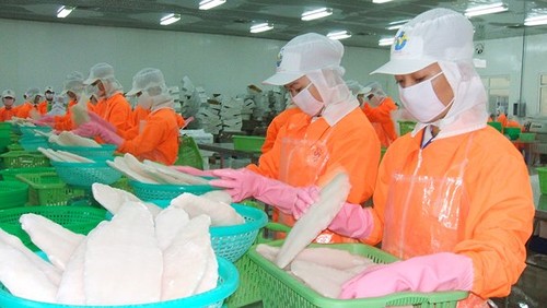 Vietnam planea ingresar más de 2 mil millones de dólares de exportaciones de pescado Tra en 2019  - ảnh 1