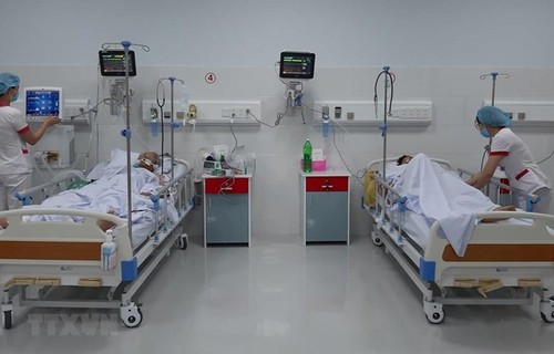 Vietnam concederá pasaporte a los enfermos con necesidad de tratamiento médico en ultramar - ảnh 1