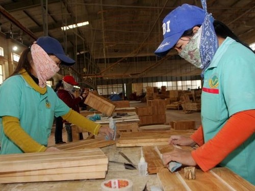 Banco Asiático de Desarrollo ofrece ayuda a las mujeres emprendedoras de Vietnam - ảnh 1