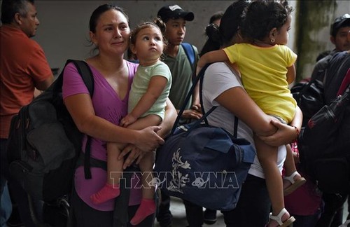 Donald Trump bloquea asilo a inmigrantes que pasan por México  - ảnh 1