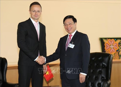 Vietnam cumplirá compromisos multilaterales, afirma canciller - ảnh 1
