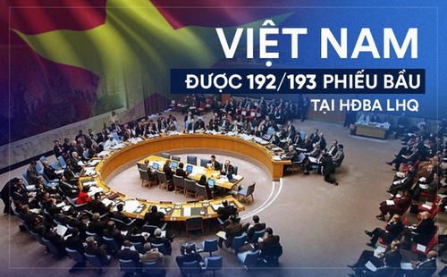 Diplomacia reafirma la voluntad y la posición políticas de Vietnam - ảnh 2