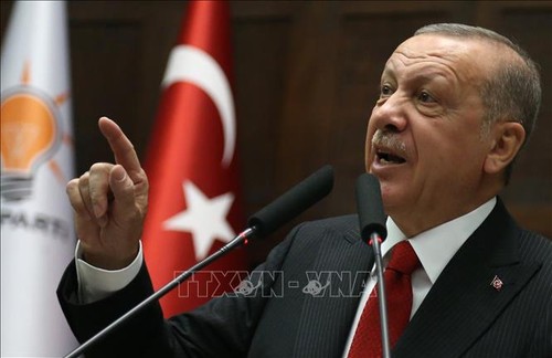 Presidente turco realiza visita sorpresiva a Túnez centrada en situación libia - ảnh 1