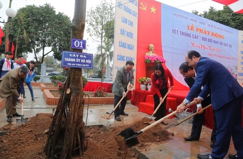 Lanzan localidades vietnamitas la siembra de árboles a inicios del año  - ảnh 1