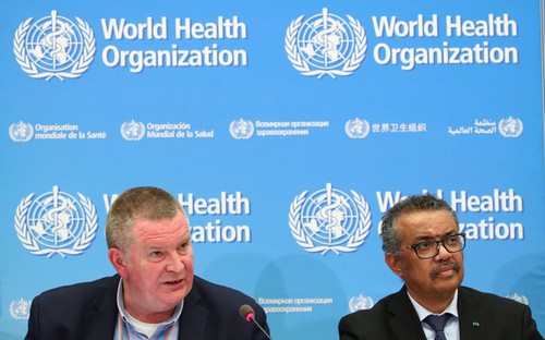 Organización Mundial de la Salud declara Covid-19 pandemia - ảnh 1