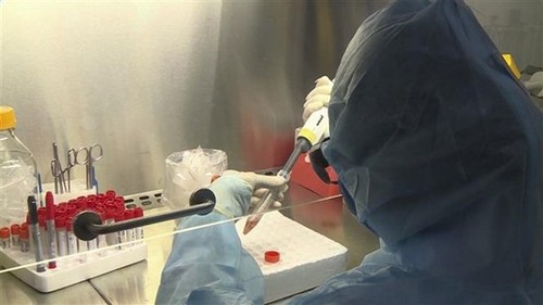 Vietnam concentrado en producir kits de prueba rápida del coronavirus - ảnh 1