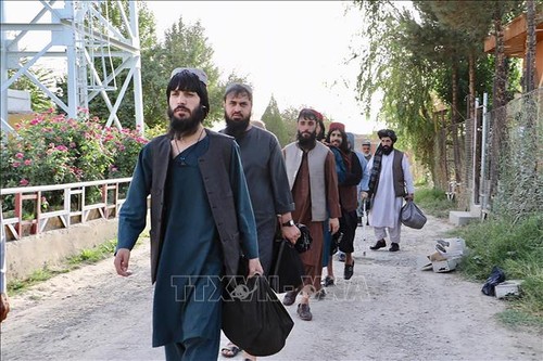 Negociadores talibanes llegan a Qatar en preparación del diálogo de paz con el gobierno afgano - ảnh 1