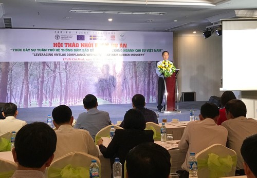 Vietnam impulsa garantías legales para el comercio de madera - ảnh 1