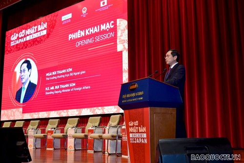 Vietnam y Japón por elevar la eficiencia de la cooperación en ciertos campos - ảnh 1