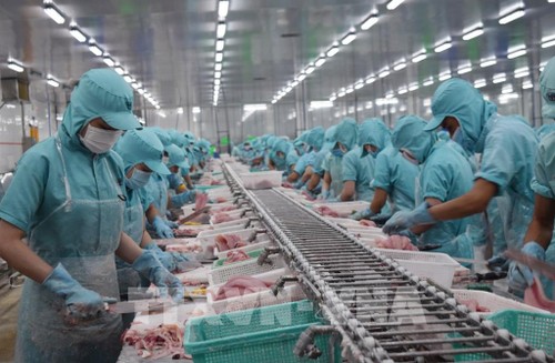 Exportaciones de productos acuícolas de Vietnam siguen en alza - ảnh 1