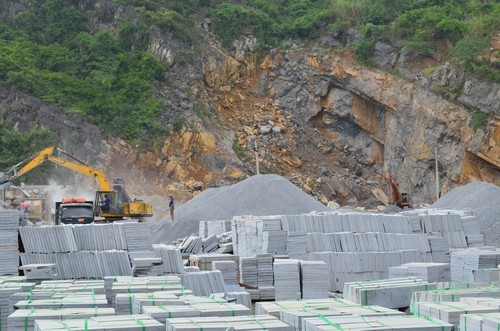 Gobierno vietnamita ratifica planificación de mineralogía  - ảnh 1