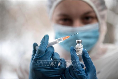 Unión Europea pide examinar la eficiencia de vacunas contra nuevas cepas de coronavirus - ảnh 1