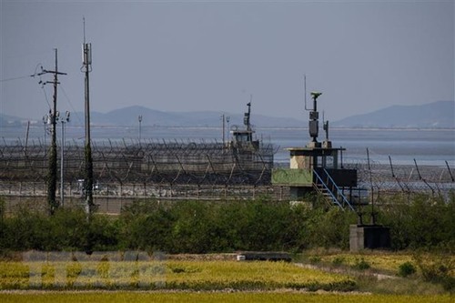Estados Unidos, Corea del Sur y Japón abordan la desnuclearización en la península coreana - ảnh 1