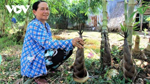 Nguyen Trung Duc y sus bambúes cultivados en tierras salinas - ảnh 2
