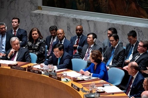 Aportes de Vietnam en virtud de presidente del Consejo de Seguridad de la ONU  - ảnh 2