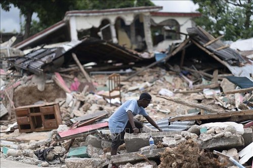 Registran más de 2.200 víctimas mortales en Haití tras el terremoto de magnitud 7,2 - ảnh 1