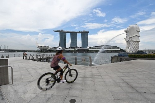 Singapur continúa la reapertura fronteriza - ảnh 1
