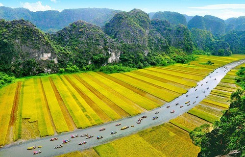 Un Vietnam único a través del lente de fotógrafos internacionales  - ảnh 14