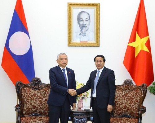 Por consolidar las relaciones de amistad, solidaridad especial y cooperación integral Vietnam-Laos - ảnh 1