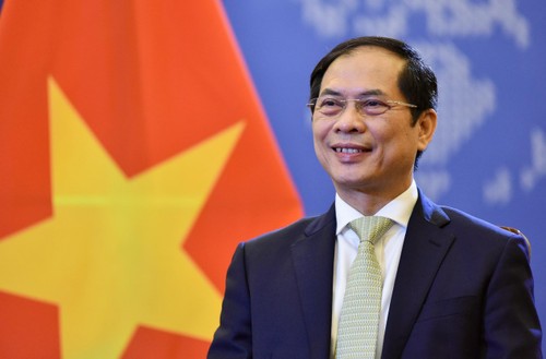Canciller vietnamita resume logros de la diplomacia nacional - ảnh 1