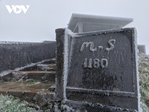 Heladas en la región montañosa del norte de Vietnam - ảnh 2