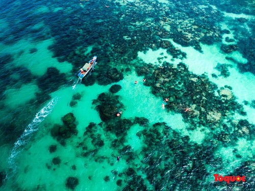 Los diez destinos vietnamitas más buscados por turistas extranjeros, según Google Destination Insights - ảnh 6