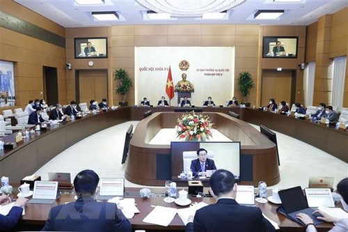 Continúan la agenda de la novena reunión del Comité Permanente del Parlamento - ảnh 1