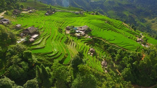 Belleza de la aldea Ta Phin en la provincia de Ha Giang - ảnh 2