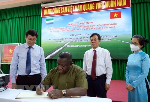  Sierra Leona aboga por intensificar la cooperación con Vietnam en la agricultura - ảnh 1