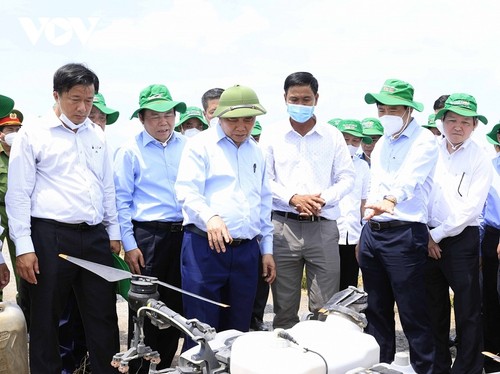 Presidente vietnamita visita modelos de economía agrícola de Dong Thap - ảnh 2
