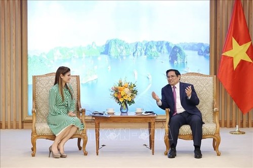Vietnam y Panamá consolidan las relaciones en economía, comercio e inversión - ảnh 1