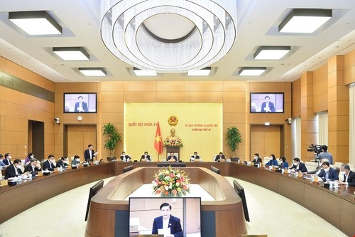 Comité Permanente del Parlamento adopta ideas sobre temas de monitoreo legislativo para 2023 - ảnh 1