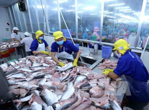 Vietnam asiste a Seafood Expo Global 2022 en España - ảnh 1